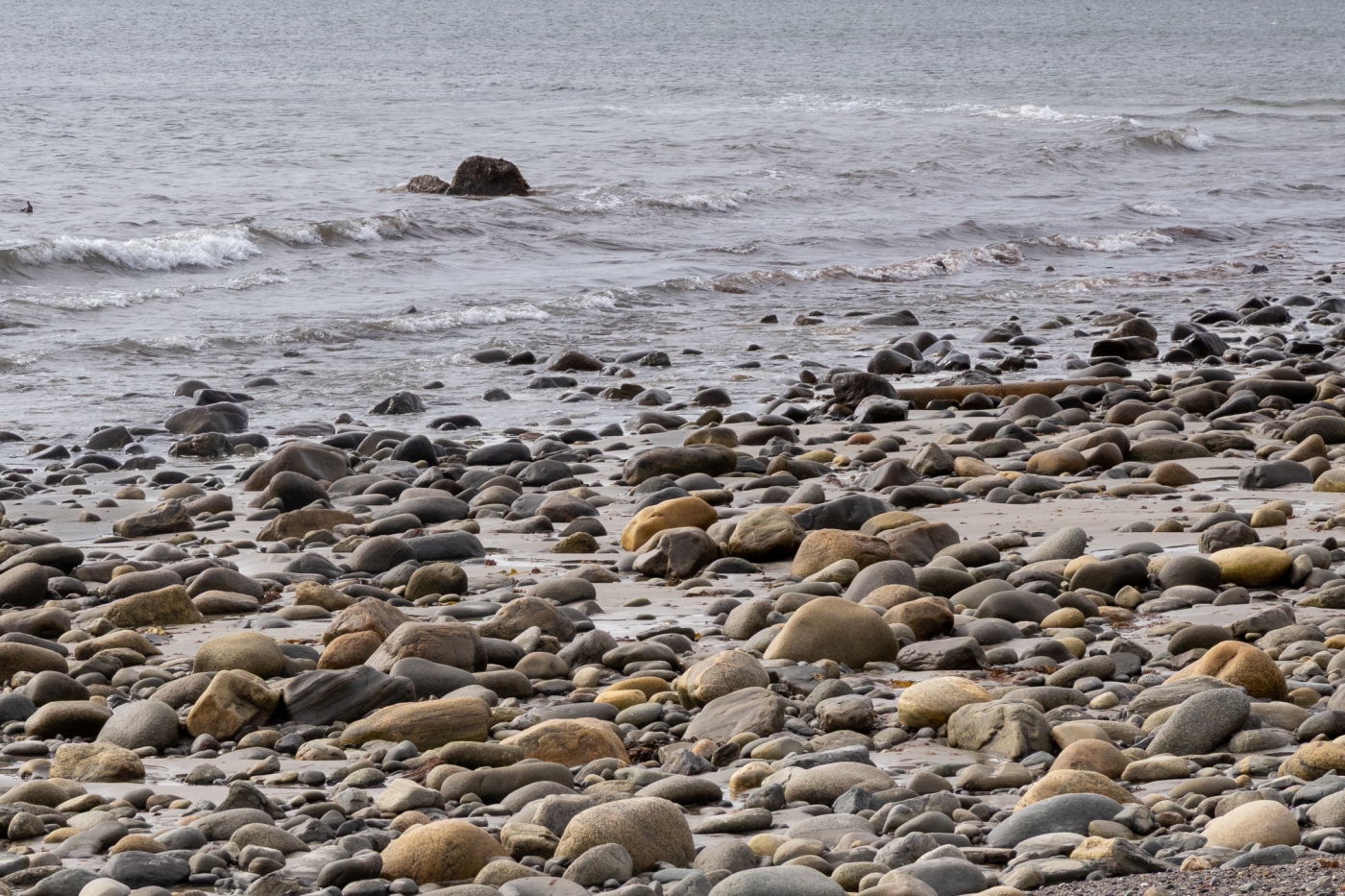 rocks by the ocean at North Hampton, NH