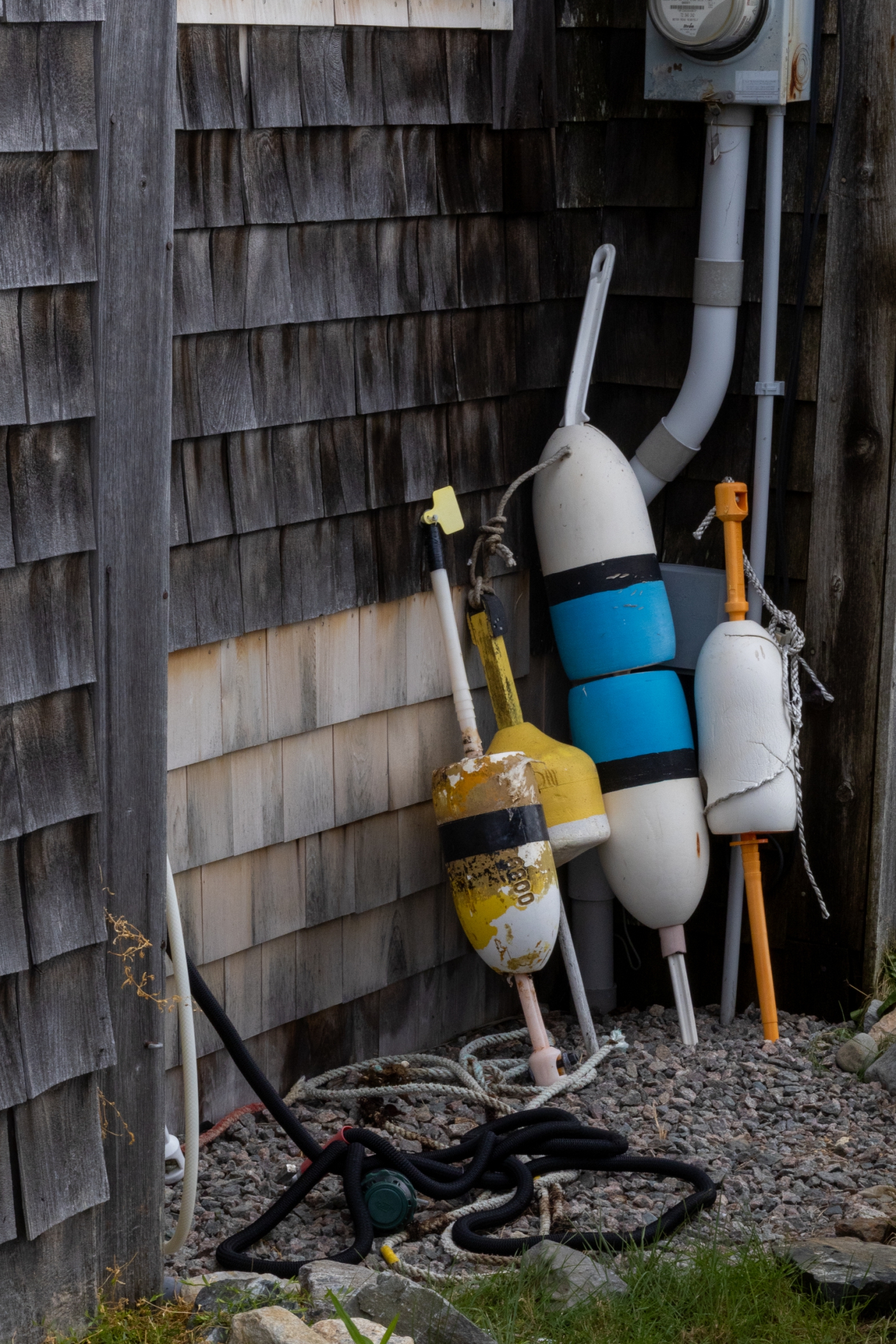 buoys 